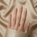 Honey French Nail Kit